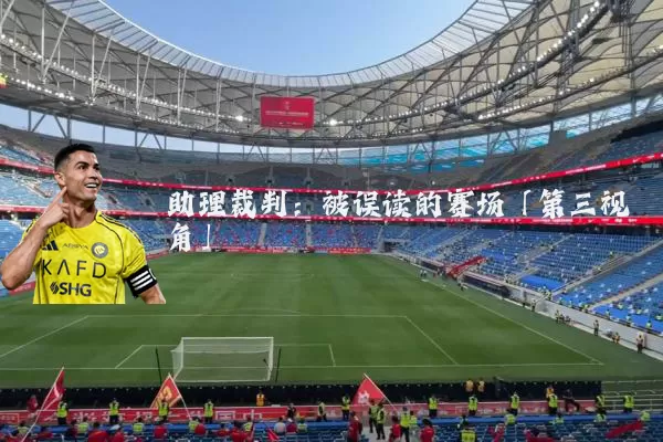助理裁判：被误读的赛场「第三视角」