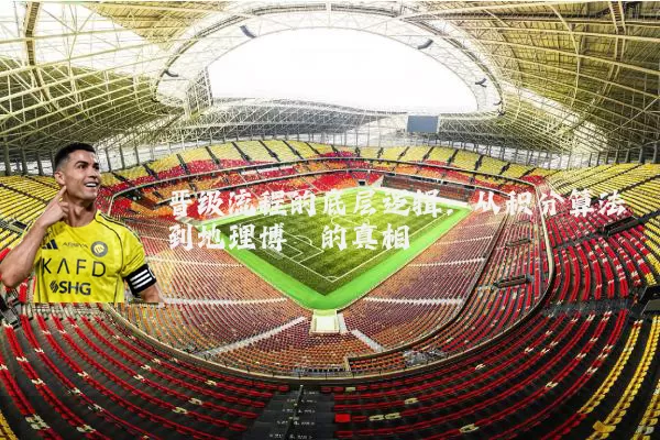 晋级流程的底层逻辑：从积分算法到地理博弈的真相